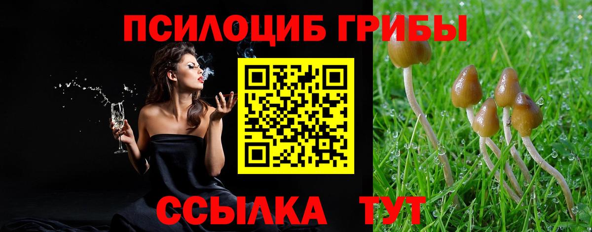 Псилоцибиновые грибы ЛСД  Вход с VPN  Галлюциногенные грибы Cubensis  купить наркотики цена  Шали 